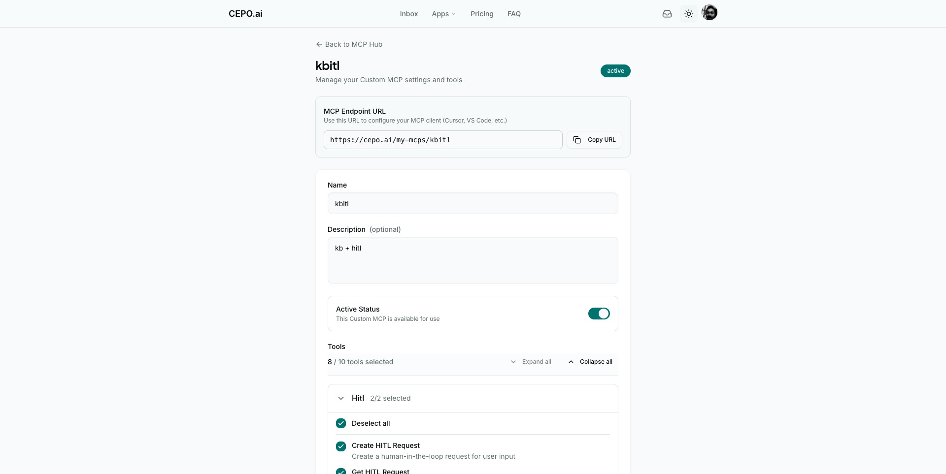 A configured Custom MCP showing endpoint URL and selected tools